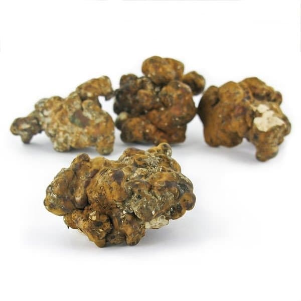 Mush Magic Hollandia Magic Truffles 15g