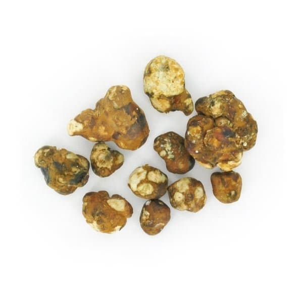 Mush Magic Mokum Magic Truffles 15g