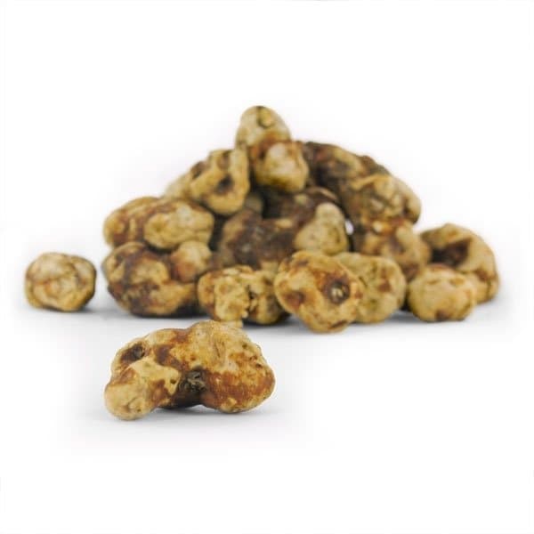 Mush Magic Tampanensis Magic Truffles 15g