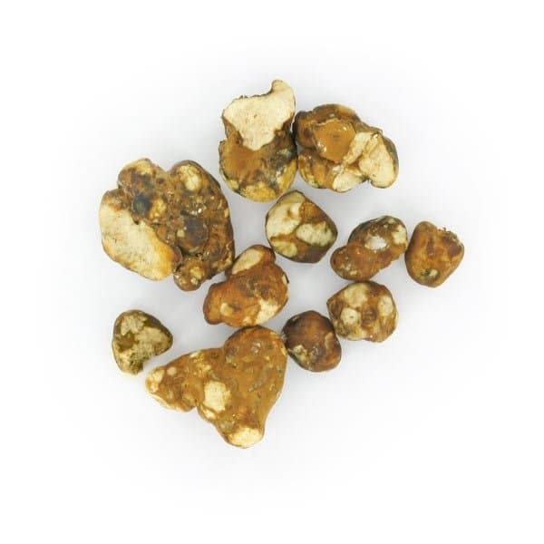 Mush Magic Tampanensis Magic Truffles 15g
